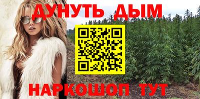 шишки Беслан