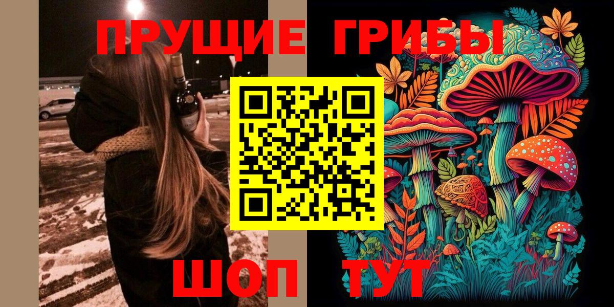 Калуга  Галлюциногенные грибы ЛСД  Вход с VPN  Псилоцибиновые грибы Psilocybine cubensis 